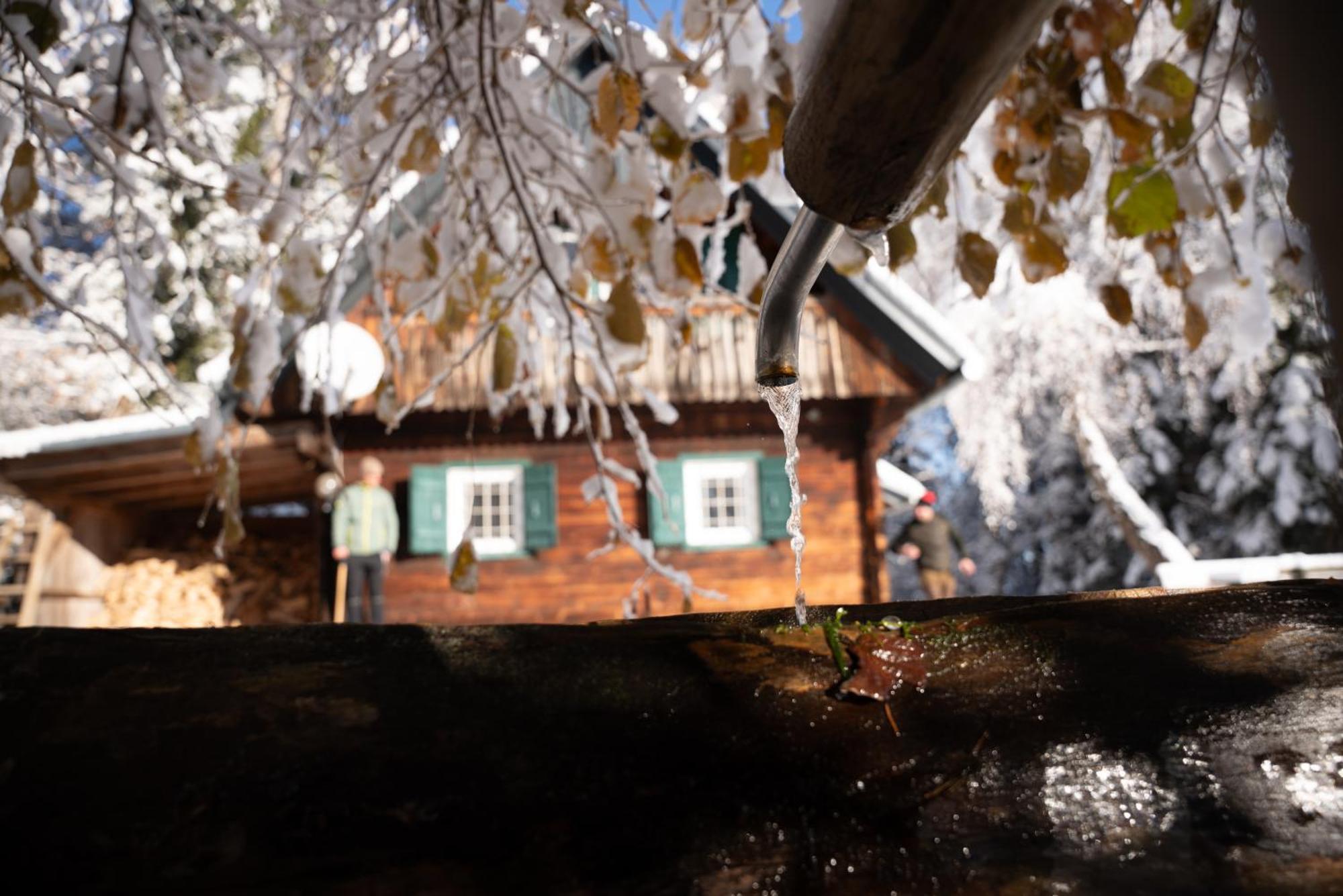 Gregor'S Ferienhaus Im Wald Edelschrott Екстер'єр фото