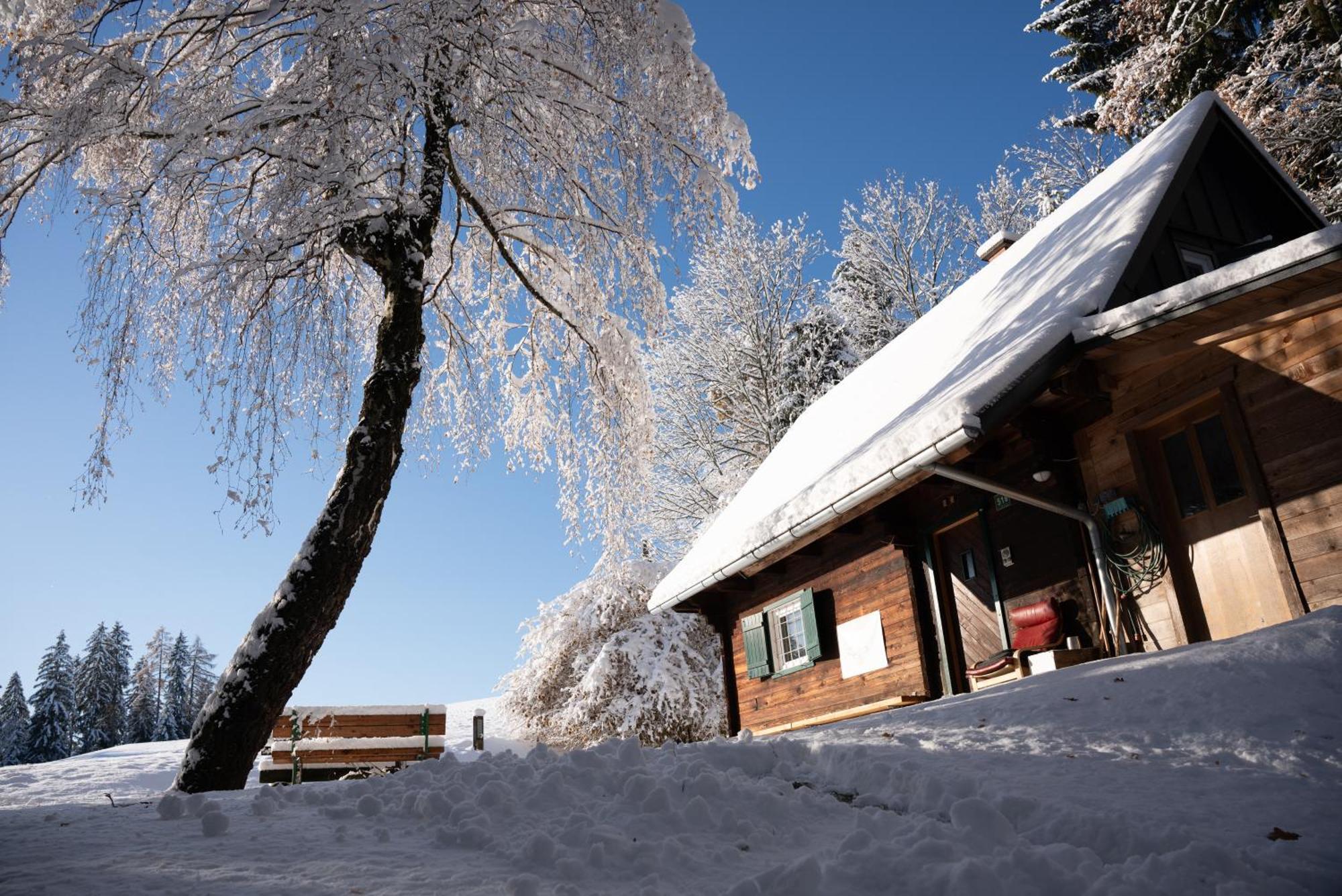 Gregor'S Ferienhaus Im Wald Edelschrott Екстер'єр фото