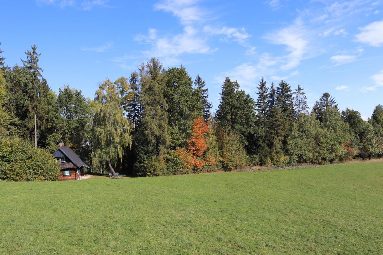 Gregor'S Ferienhaus Im Wald Edelschrott Екстер'єр фото